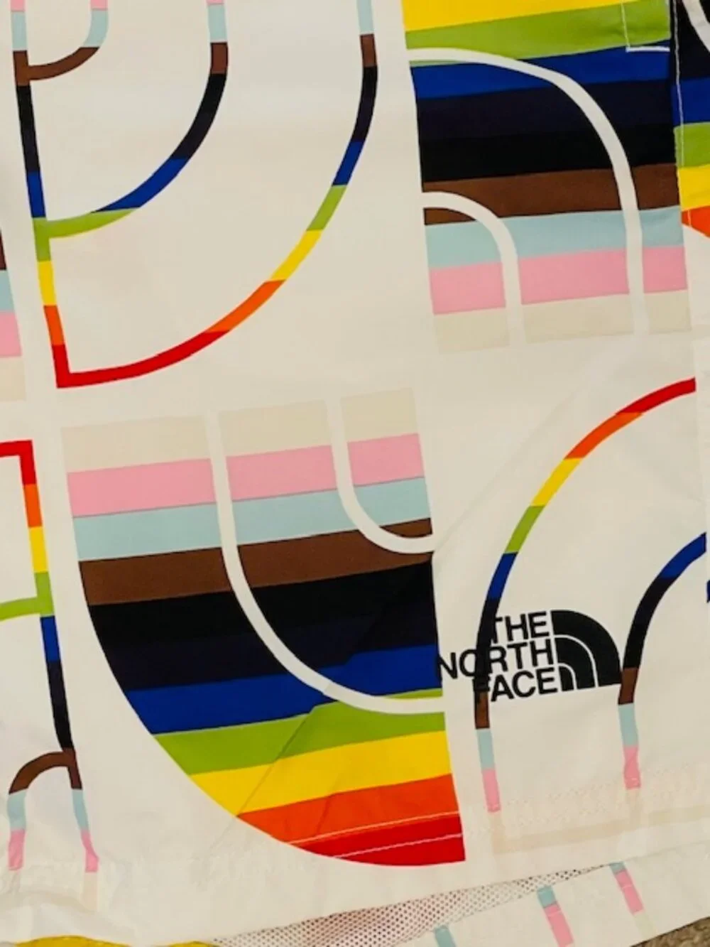 The North Face Hydrenaline Water Repellent Shorts Hybrid Rainbow Pride Medium